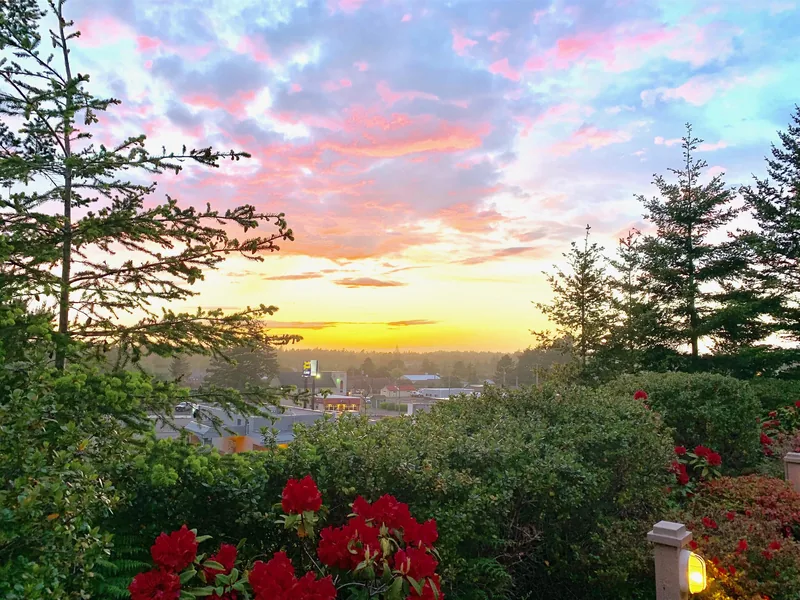 Sunrise over Florence seen through the trees at the Landmark